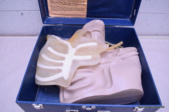 NASCO LIFE FORM CENTRAL VENOUS CANNULATION SIMULATOR LF01087U