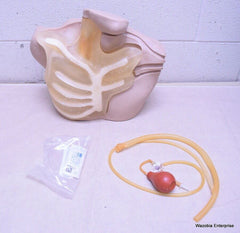 NASCO LIFE FORM CENTRAL VENOUS CANNULATION SIMULATOR LF01087U