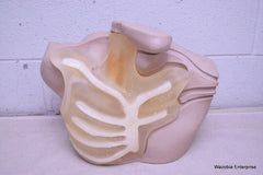 NASCO LIFE FORM CENTRAL VENOUS CANNULATION SIMULATOR LF01087U