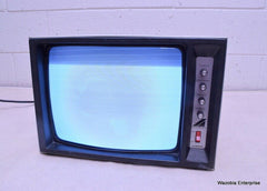 AUDIOTRONICS MONITOR/TV MODEL 14VM939