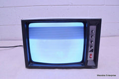 AUDIOTRONICS MONITOR/TV MODEL 14VM939