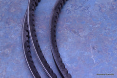 THERMOID BX136SEL V-BELT