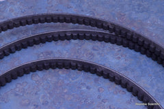 THERMOID BX136SEL V-BELT