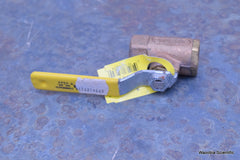 STERIS AMSCO APOLLO VALVES 70-143-01AM 7014301AM BRZ 316 S.S 1/2" BRZ SS B&S