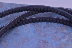 THERMOID BX136SEL V-BELT