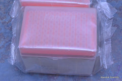 2 THERMO SCIENTIFIC FINNTIP 200 EXT STERILE CAT. 9400133