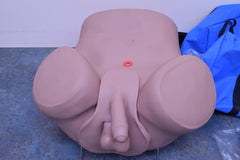GAUMARD SCIENTIFIC PROSTATE MALE EXAMINATION SIMULATOR