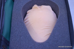 HEALTH EDCO STANDARD BSE MODEL FOR BREAST EXAMINATION