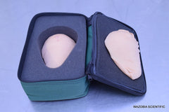 HEALTH EDCO STANDARD BSE MODEL FOR BREAST EXAMINATION