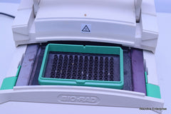 BIO-RAD ICYCLER THERMAL CYCLER