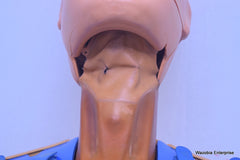 ARMSTRONG MEDICAL CHRIS CLEAN SANITARY CPR MANIKIN WITH CASE