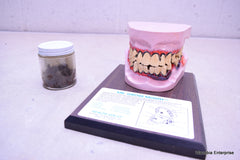 HEALTH EDCO MR GROSS MOUTH