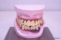 HEALTH EDCO MR GROSS MOUTH