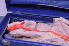 NASCO LIFE FORM REPLICAS LF822 THE LOWER EXTREMITY