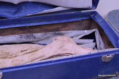 NASCO LIFE FORM REPLICAS LF822 THE LOWER EXTREMITY