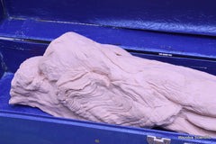 NASCO LIFE FORM REPLICAS LF822 THE LOWER EXTREMITY