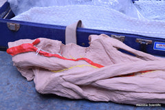 NASCO LIFE FORM REPLICAS LF822 THE LOWER EXTREMITY