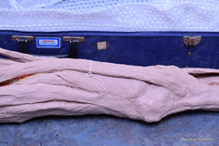 NASCO LIFE FORM REPLICAS LF822 THE LOWER EXTREMITY