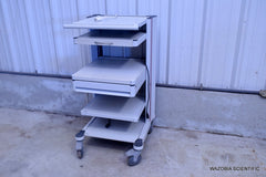 ROLLING CART STAND FOR ENDOSCOPY