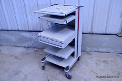 ROLLING CART STAND FOR ENDOSCOPY