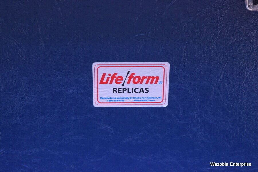 LIFE FORM CASE ONLY 20.5 X 15 X 11