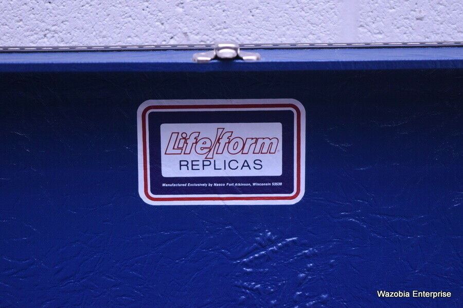 LIFE FORM CASE ONLY 21 X 15 X 9