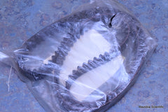 DAYTON BANDO HTS SYNCHRONOUS BELT 20MM WIDTH 1120MM LENGTH 1120-8M-20