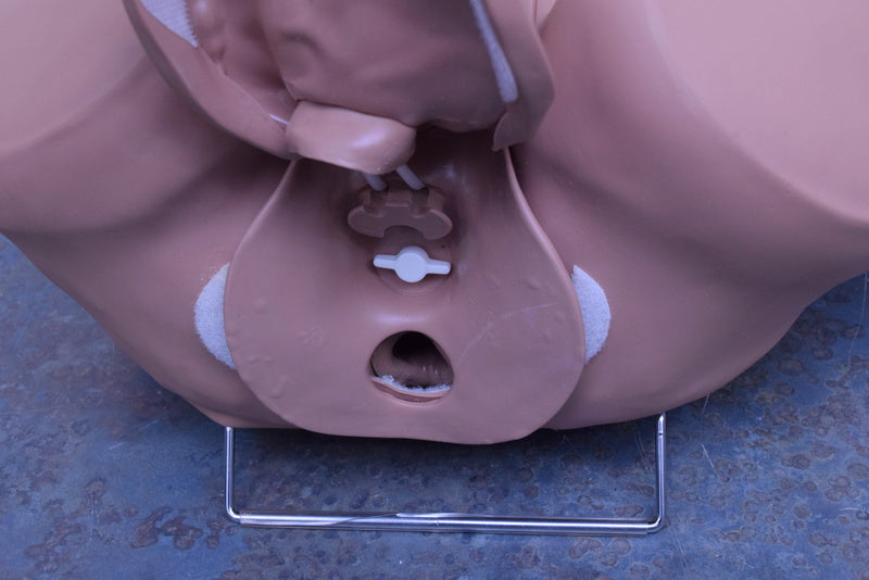 GAUMARD SCIENTIFIC PROSTATE MALE EXAMINATION SIMULATOR