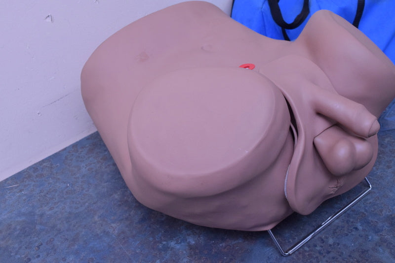 GAUMARD SCIENTIFIC PROSTATE MALE EXAMINATION SIMULATOR