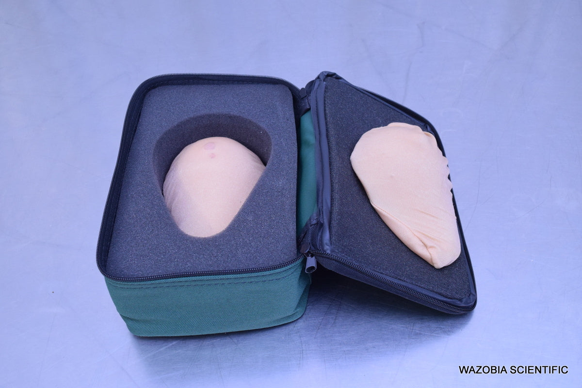 HEALTH EDCO STANDARD BSE MODEL FOR BREAST EXAMINATION