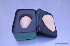HEALTH EDCO STANDARD BSE MODEL FOR BREAST EXAMINATION