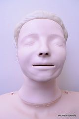 LAERDAL RESUSCI ANNE TORSO MEDICAL TRAINING MANIKIN