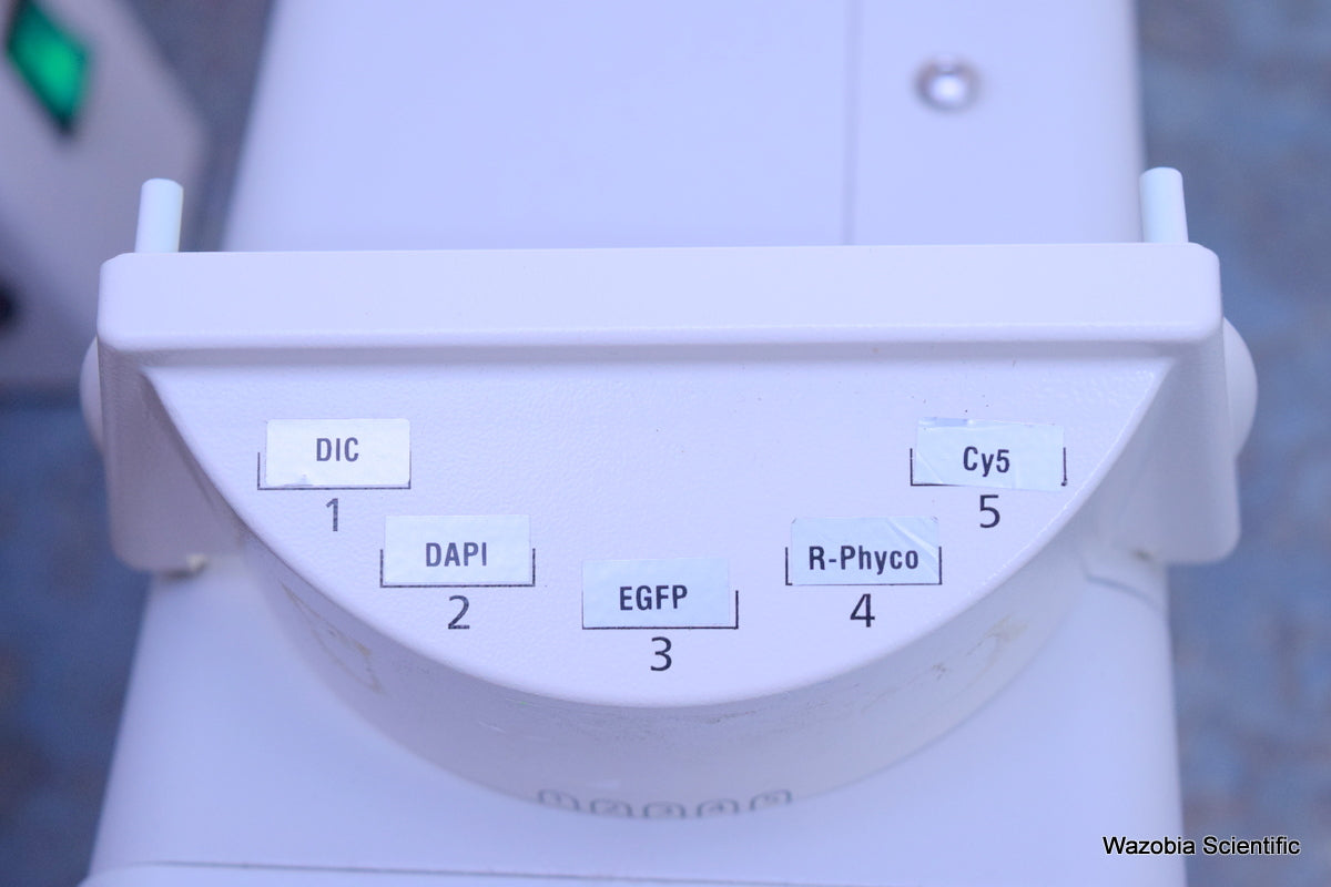 CARL ZEISS AXIOSKOP 2 MOT PLUS FLUORESCENCE MICROSCOPE EXFO XE120-Q 10 20 63 100