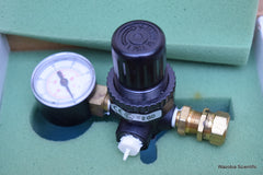 DIONEX ASSEMBLY PRESSURE REGULATOR 25 PSI 038201