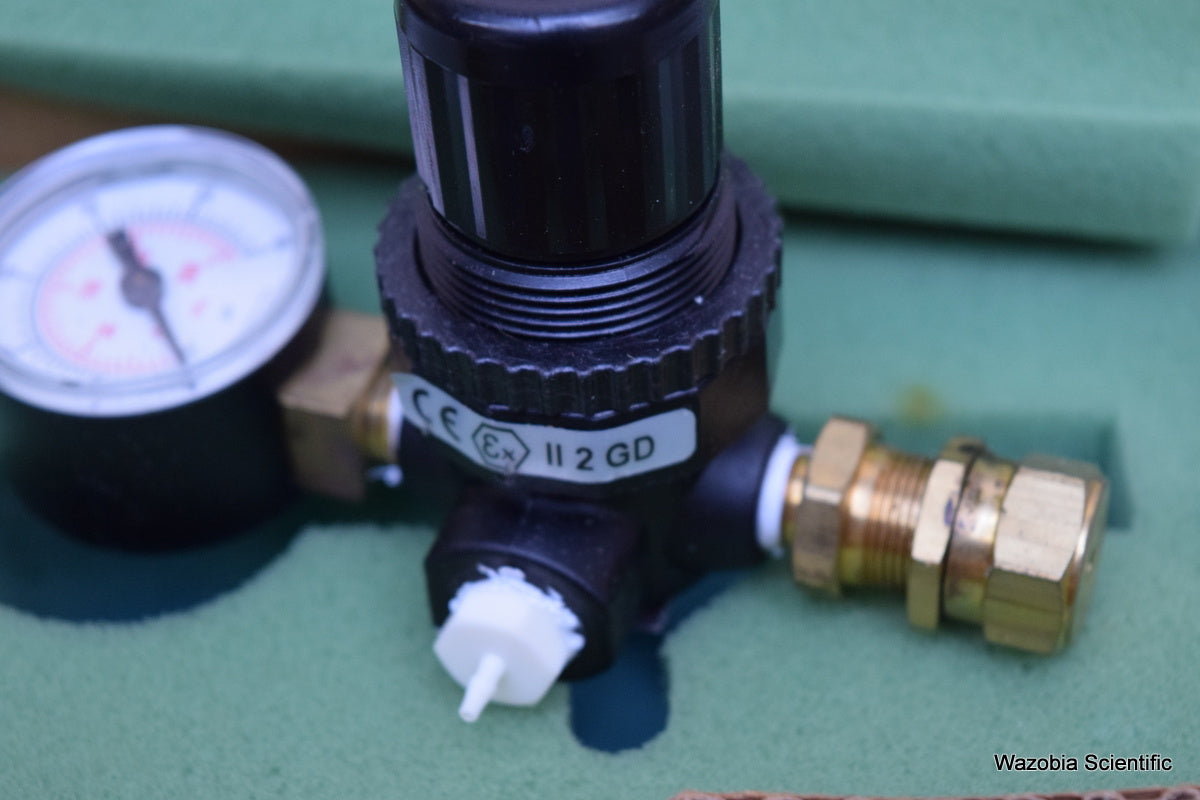 DIONEX ASSEMBLY PRESSURE REGULATOR 25 PSI 038201