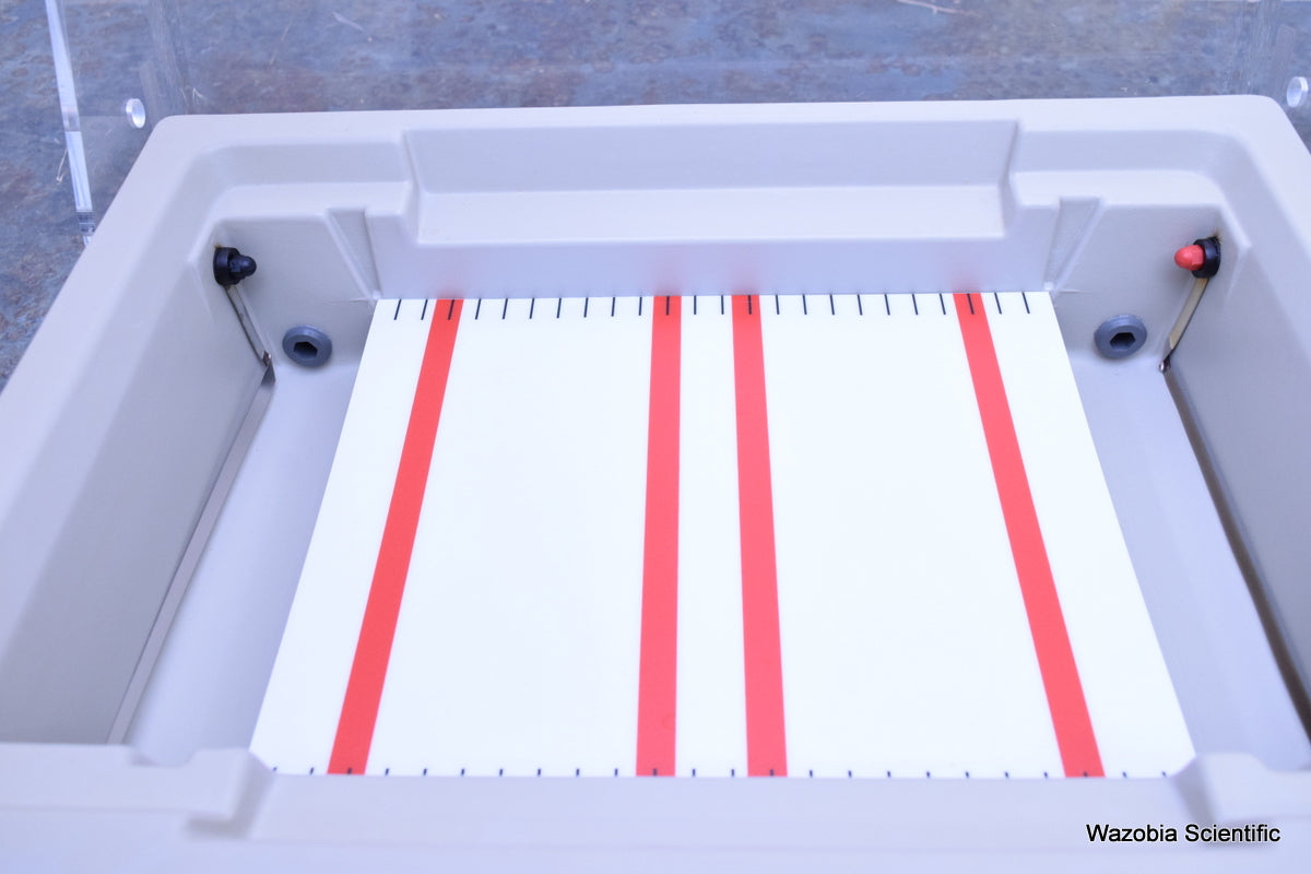 BRL HORIZON 20.25 HORIZONTAL GEL ELECTROPHORESIS SYSTEM 1069BD