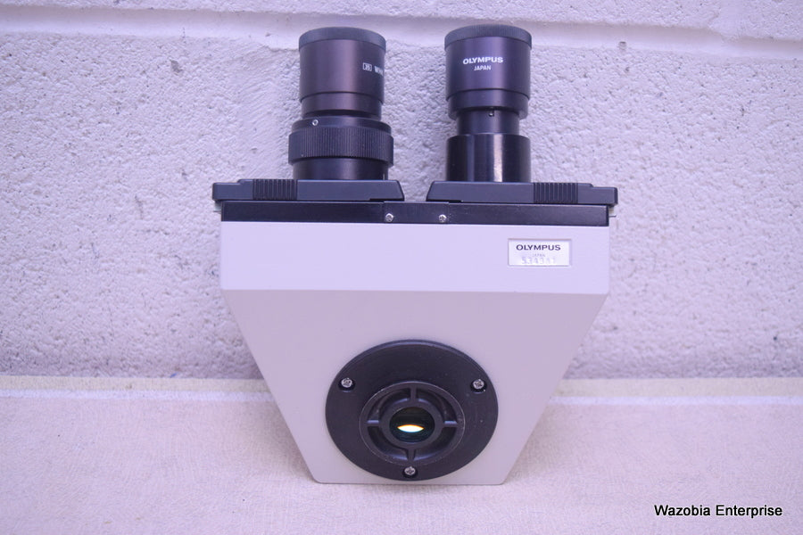 OLYMPUS WHK 10X/20 L MICROSCOPE EYEPIECE PAIR