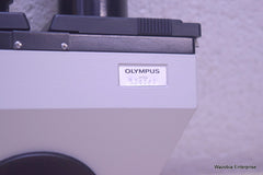 OLYMPUS WHK 10X/20 L MICROSCOPE EYEPIECE PAIR