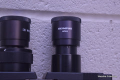 OLYMPUS WHK 10X/20 L MICROSCOPE EYEPIECE PAIR