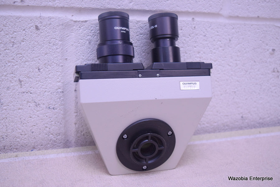 OLYMPUS WHK 10X/20 L MICROSCOPE EYEPIECE PAIR