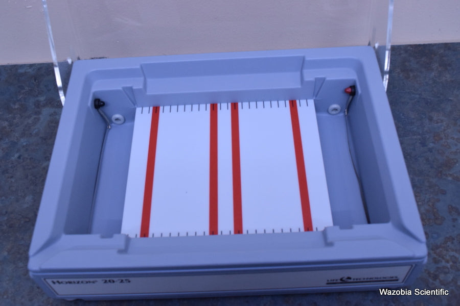LIFE TECHNOLOGIES GIBCO BRL MODEL HORIZON 20 25 HORIZONTAL GEL ELECTROPHORESIS