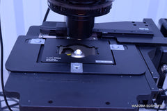 NIKON ECLIPSE TE2000-U INVERTED PHASE CONTRAST FLUORESCENCE MICROSCOPE 60X 20X
