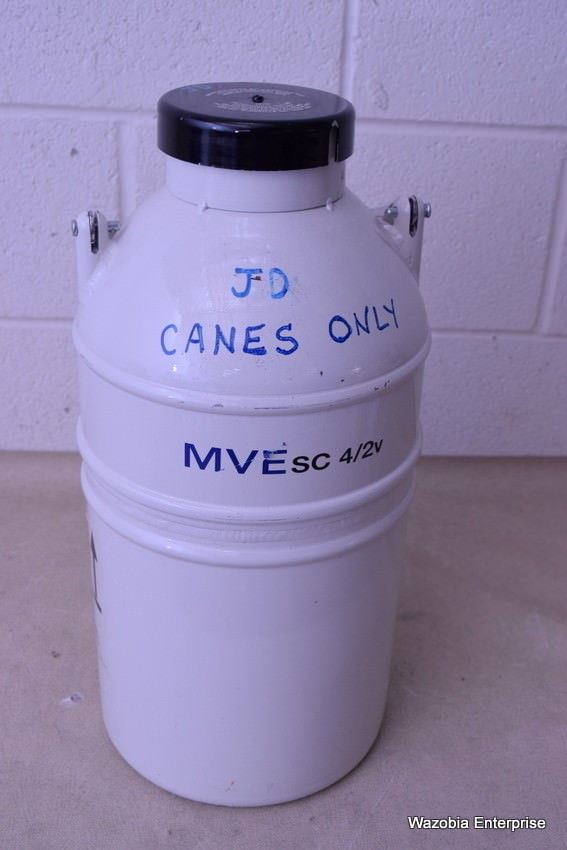 MVE SC 4/2V  LIQUID NITROGEN CONTAINER  DEWAR CRYOGENIC 9918479