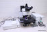 OLYMPUS BX61 FLUORESCENCE MICROSCOPE WITH PRIOR H101AIBX MOTORRIZED STAGE BX61TR