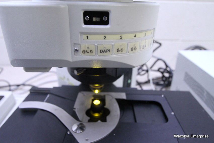 OLYMPUS BX61 FLUORESCENCE MICROSCOPE WITH PRIOR H101AIBX MOTORRIZED STAGE BX61TR