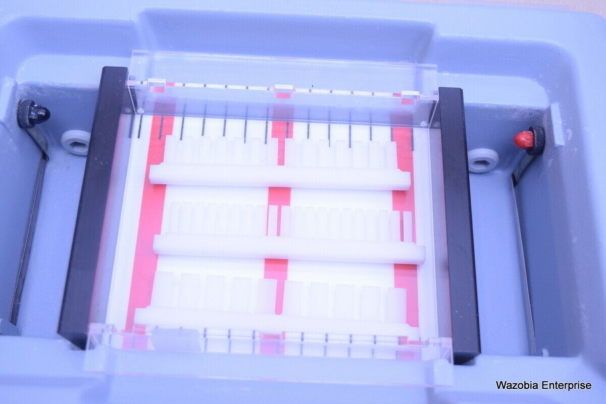 LIFE TECHNOLOGIES HORIZON 11 14 HORIZONTAL GEL ELECTROPHORESIS SYSTEM CAT. NO: 1