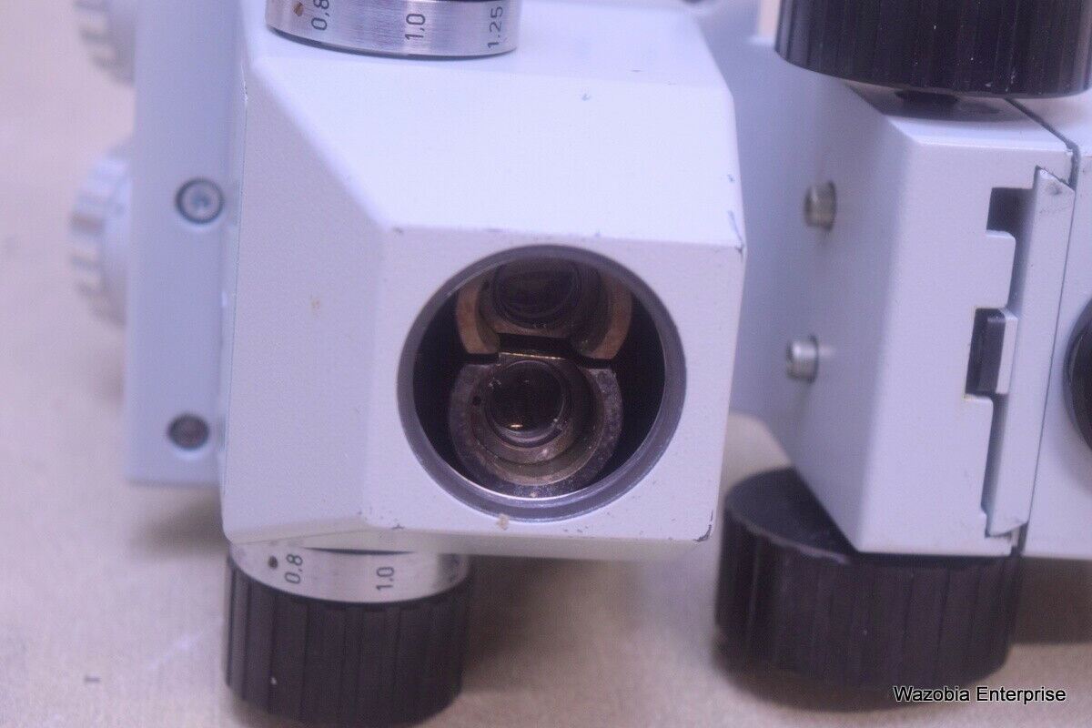 CARL ZEISS JENA STEREO ZOOM MICROSCOPE HEAD